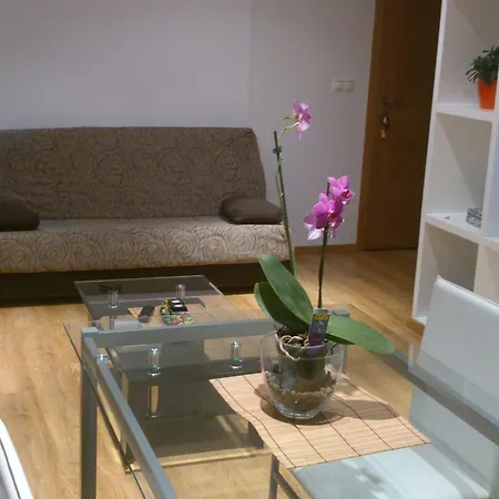 Rua Virxe Do Carme *